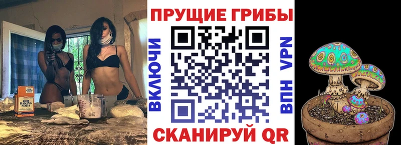 Галлюциногенные грибы прущие грибы Морозовск